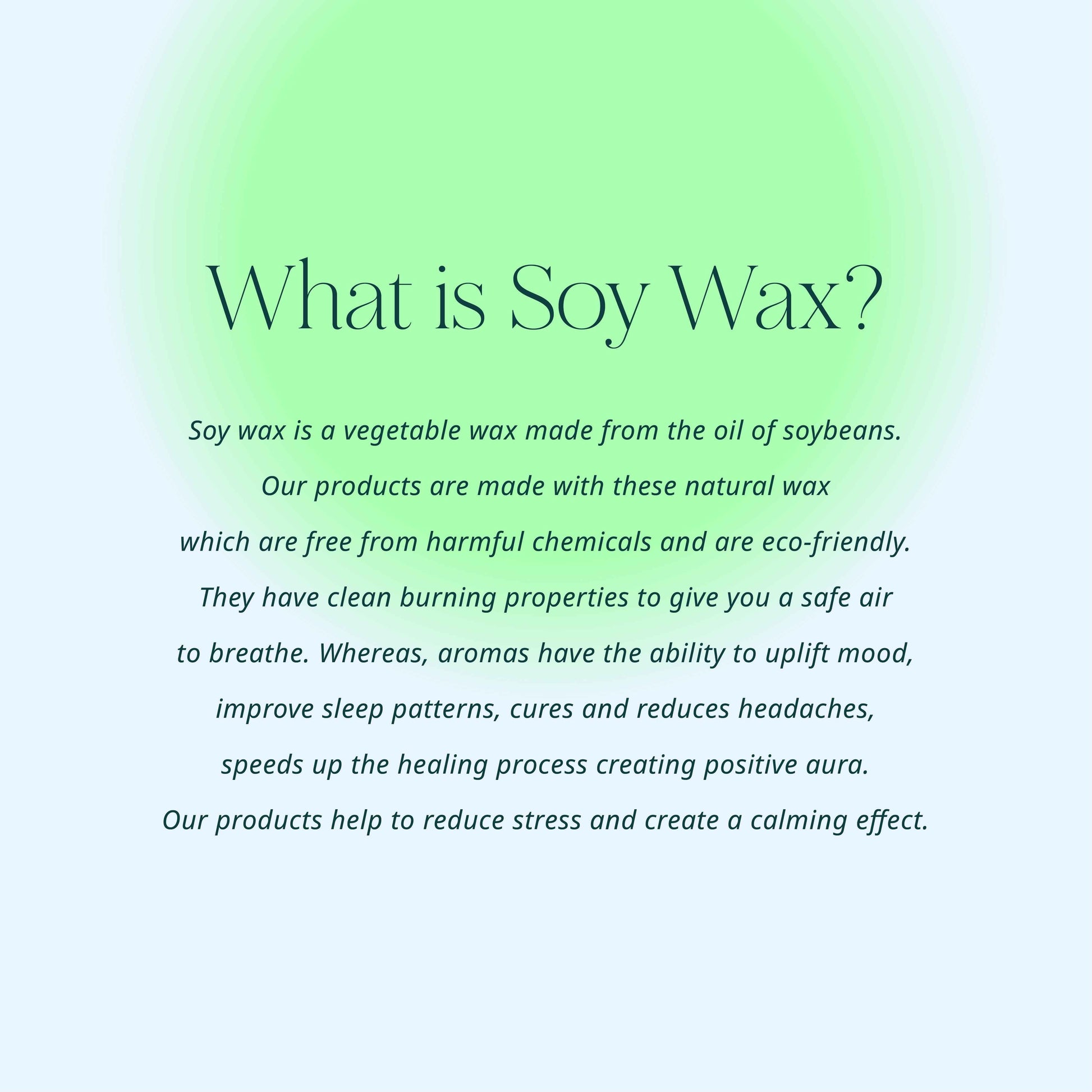 Forest Soy Candle  | Scented Soy Candle