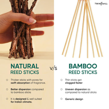 Reed Diffuser with 6 Organic Reed Sticks Twin Flames India