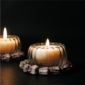 Luxury Jar Candle | Set of 3 Soy Scented (S) Twin Flames India