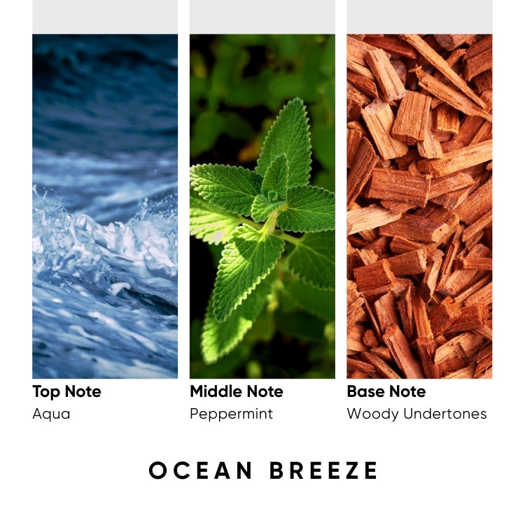 Ocean Breeze Fragrance Bar - Set of 2