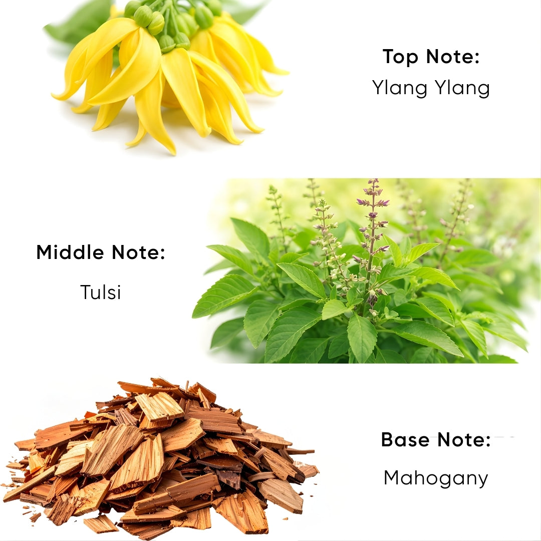 Element Reed Diffuser – Air (200ml)