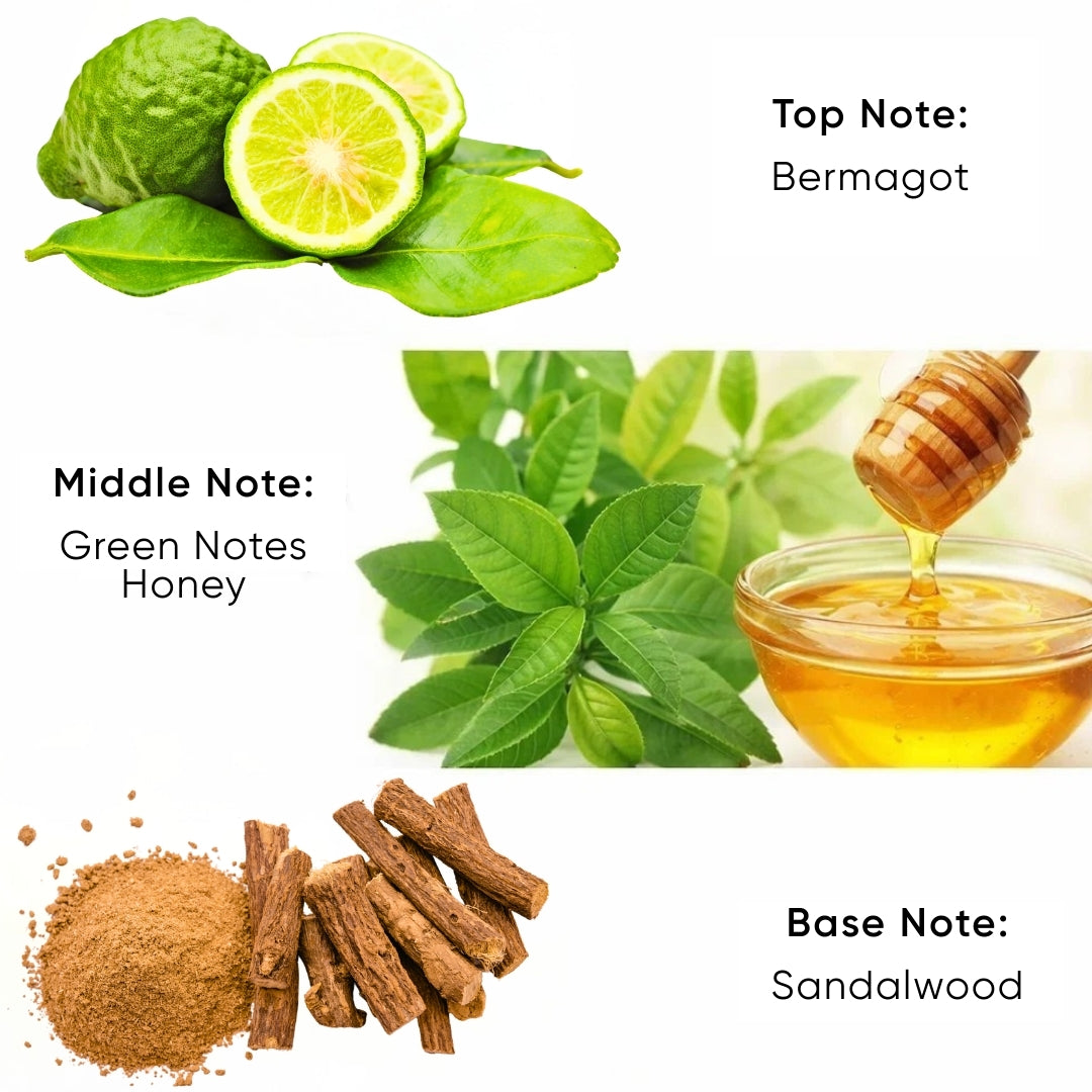 Element Reed Diffuser – Earth (200ml)