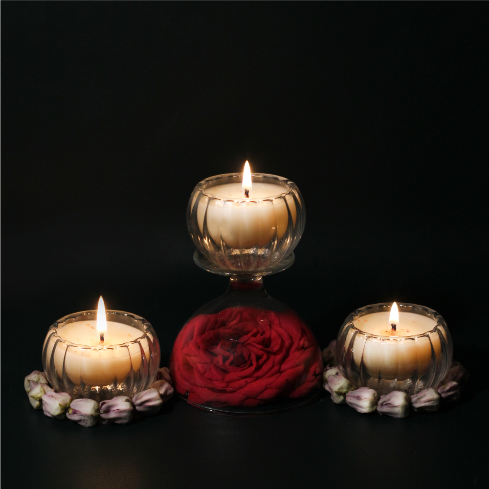 Luxury Jar Candle | Set of 3 Soy Scented (S) Twin Flames India