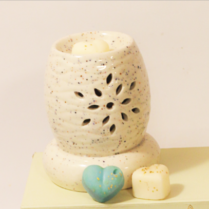 Electric Diffuser Twin Flames India