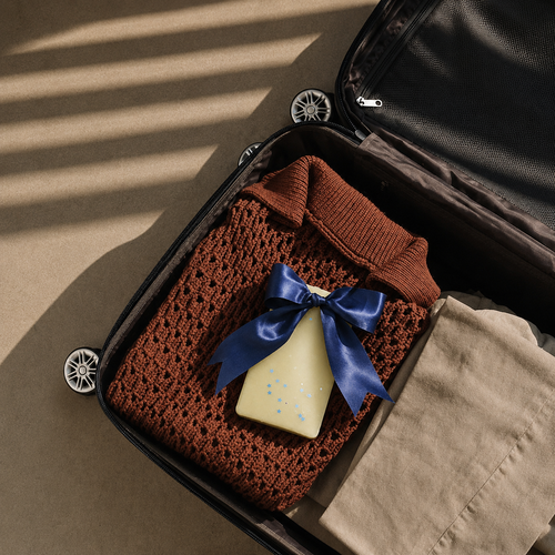 Luggage