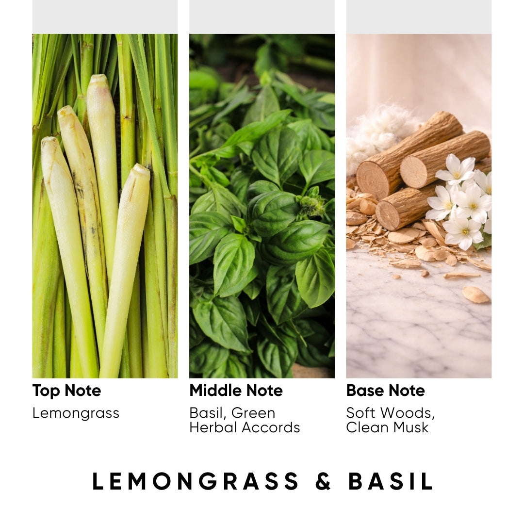 Lemongrass & Basil Aroma Reed Diffuser – 100ml