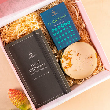 Festive Enlighten Gift Box