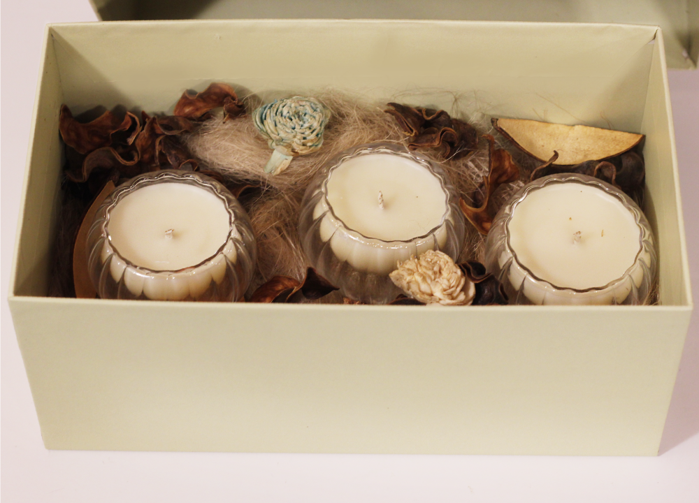 Luxury Jar Candle | Set of 3 Soy Scented (S) Twin Flames India