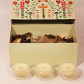 Luxury Jar Candle | Set of 3 Soy Scented (S) Twin Flames India