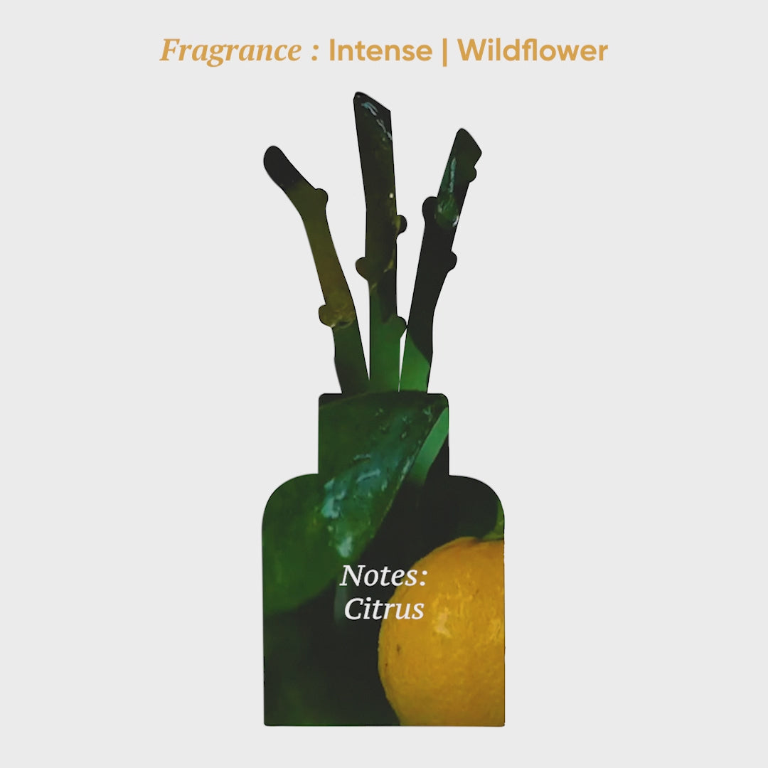 Wildflower Aroma Reed Diffuser – 100ml
