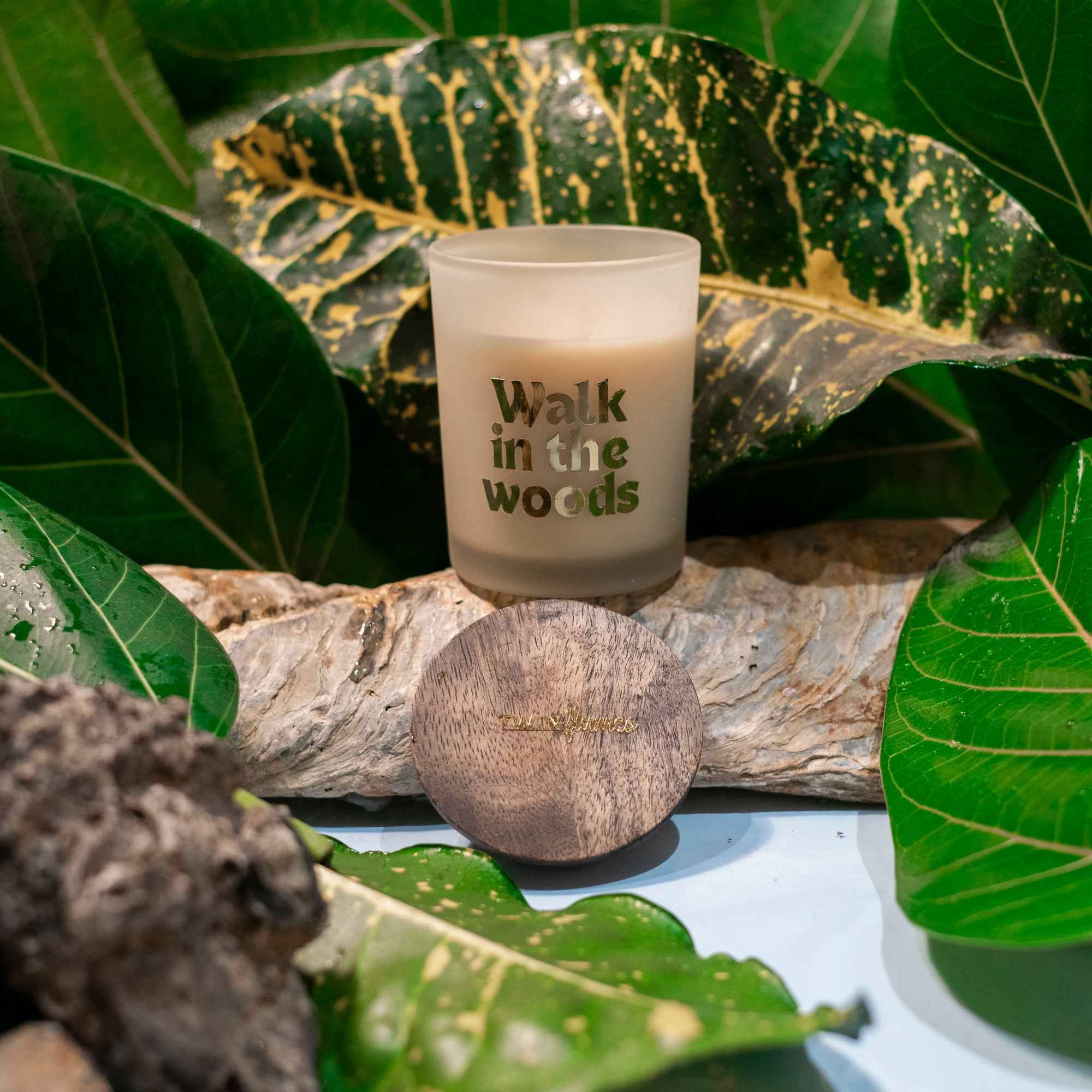 A Walk in the Woods | Scented Soy Jar Candle