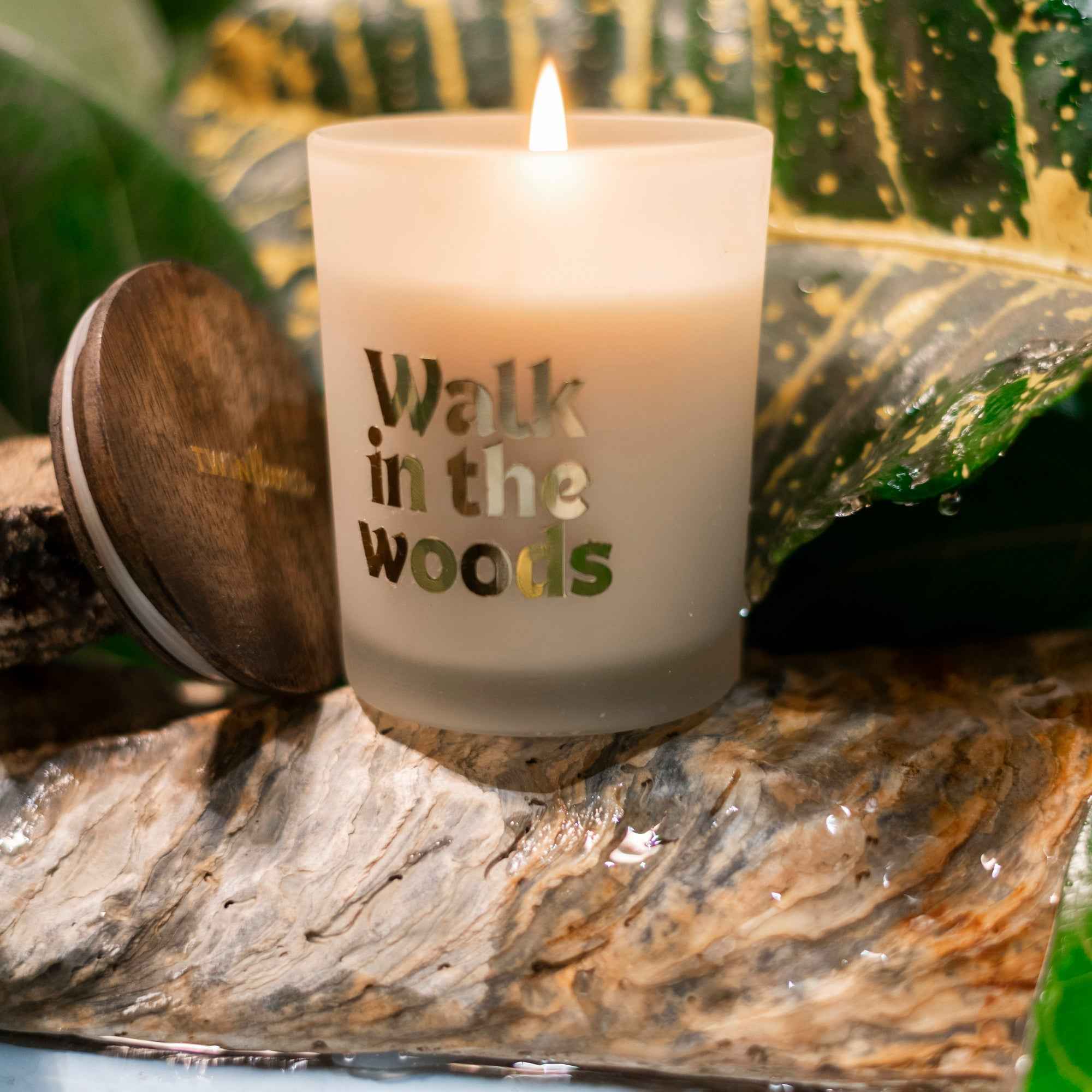 A Walk in the Woods | Scented Soy Jar Candle